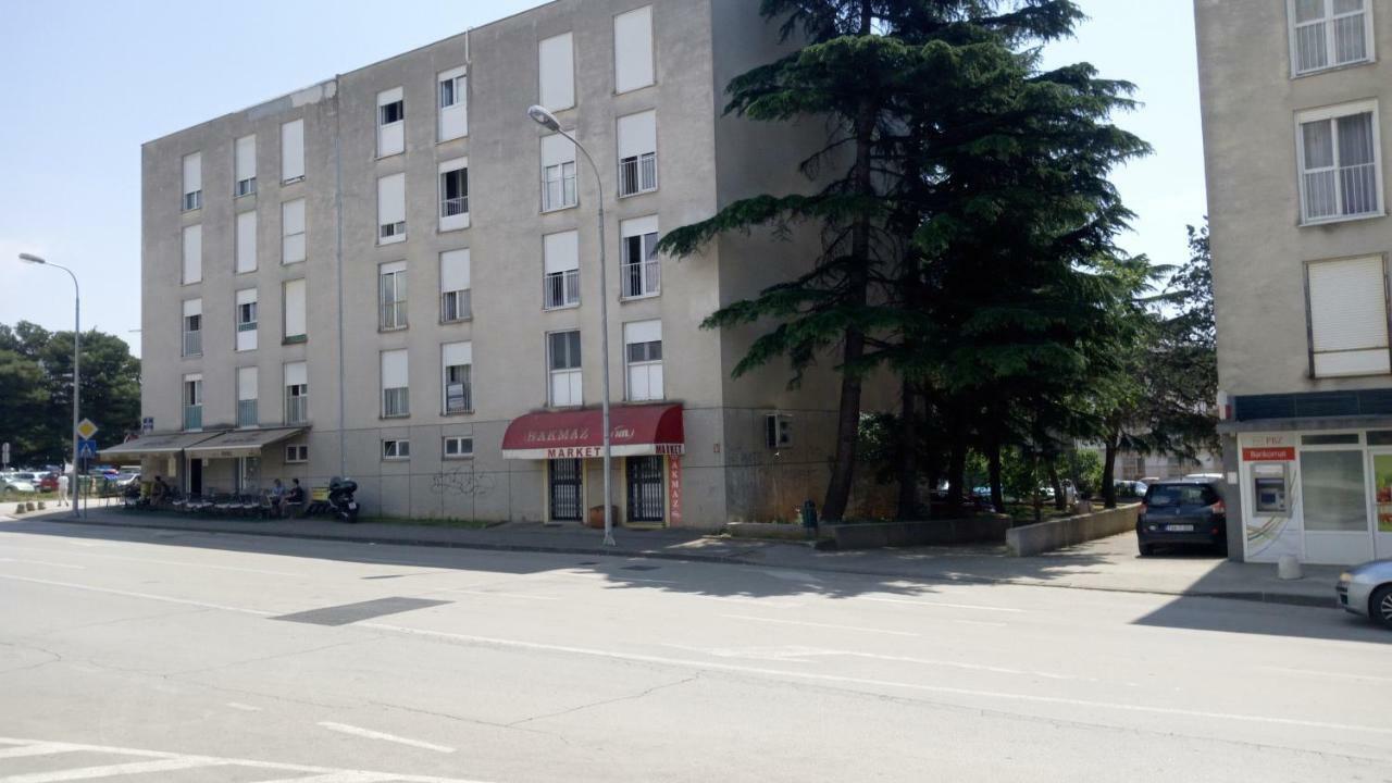 Zara- Zd